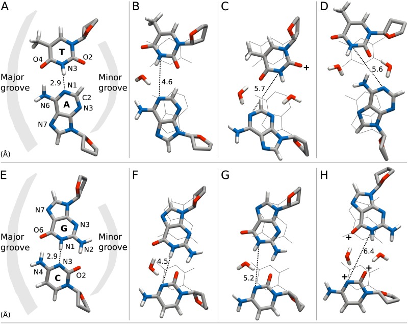 Fig 4