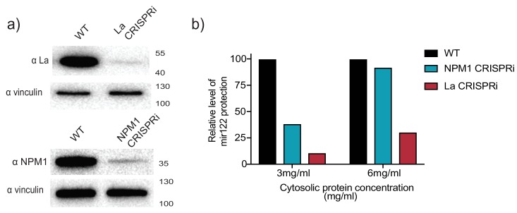 Figure 4—figure supplement 2.