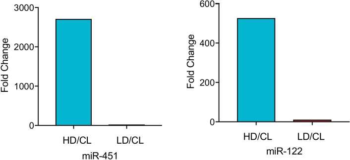 Figure 3—figure supplement 1.