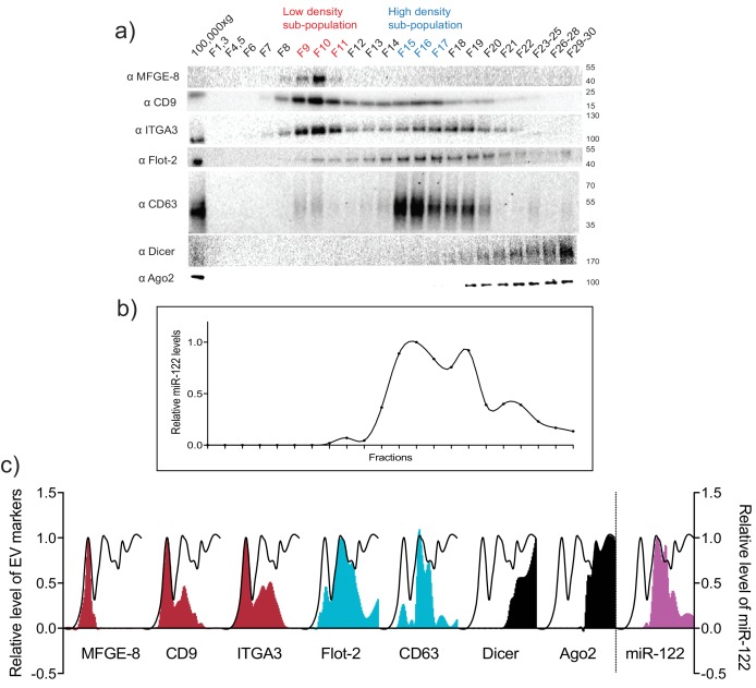 Figure 3—figure supplement 4.