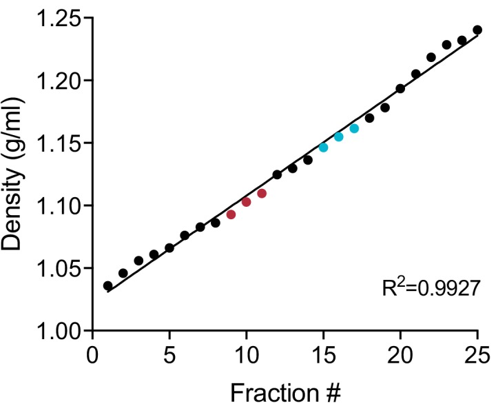 Figure 1—figure supplement 1.