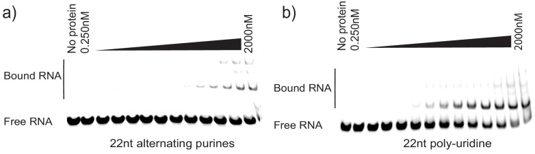 Figure 7—figure supplement 3.