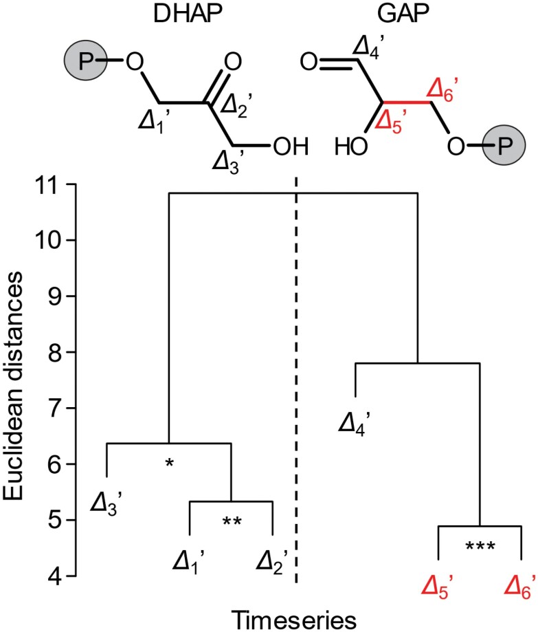 Fig. 4.