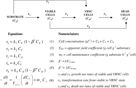 FIG. 2.