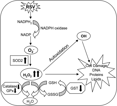 Figure 7.