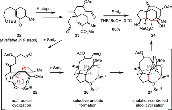 Scheme 3.