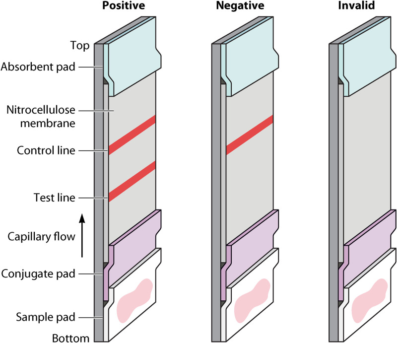 FIG 3