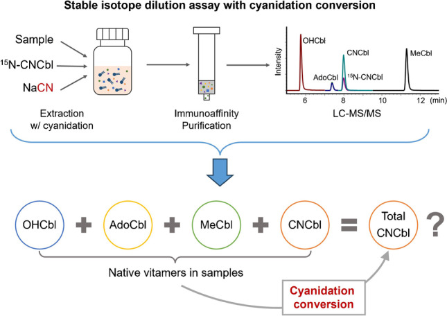 graphic file with name 216_2023_4860_Figa_HTML.jpg