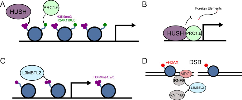 Figure 5: