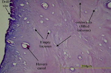 Fig. 8