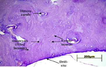 Fig. 7