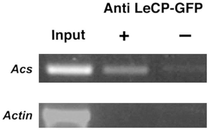 Figure 14.