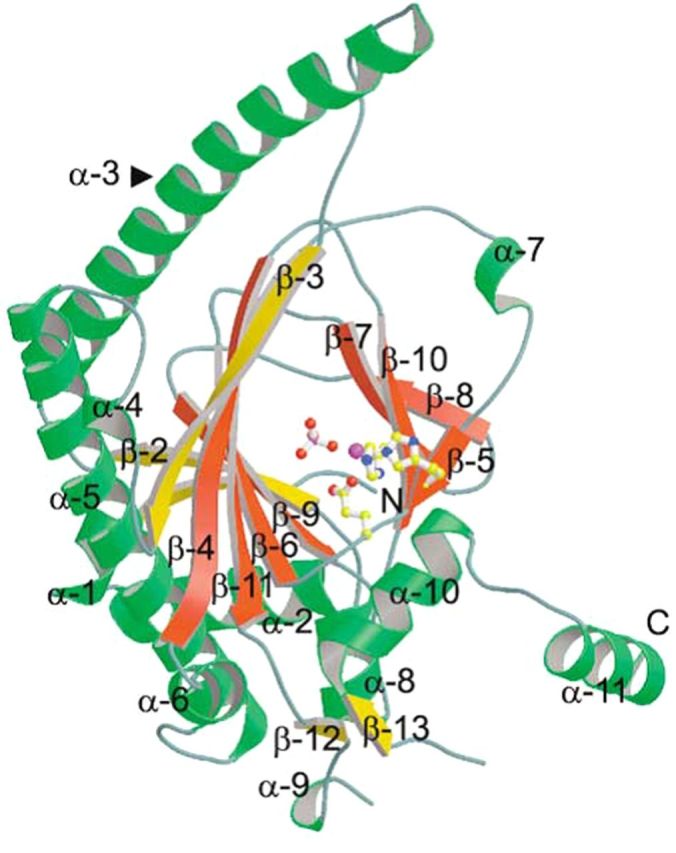 Figure 1.