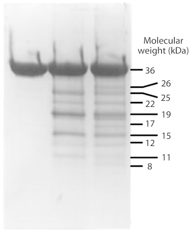 Figure 13.