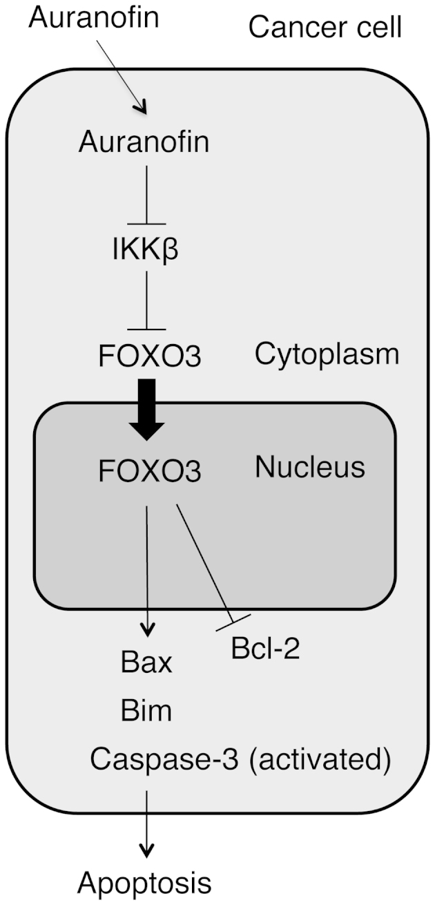 Figure 8