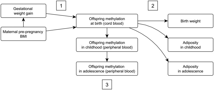 Figure 1.