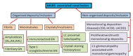 Schema 1
