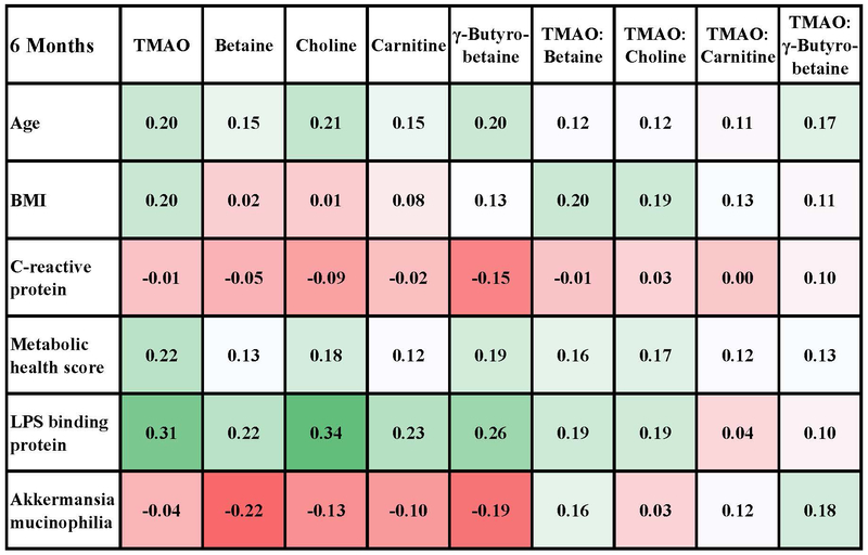 Figure 3B.