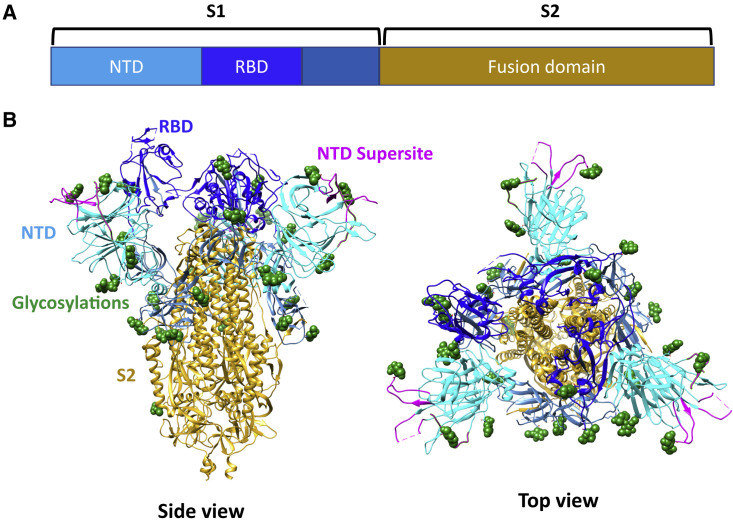 Figure 1