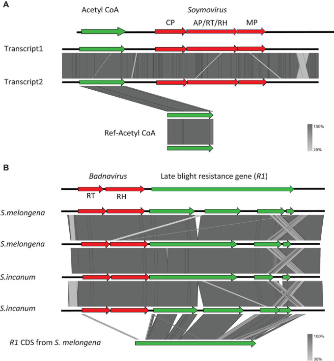 FIGURE 1