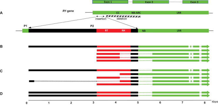 FIGURE 2