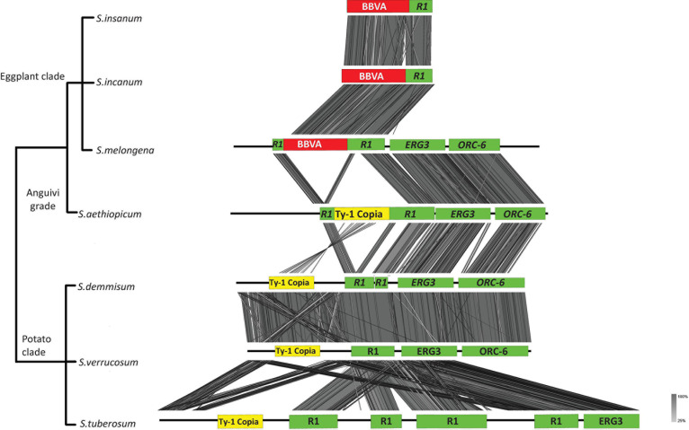 FIGURE 4