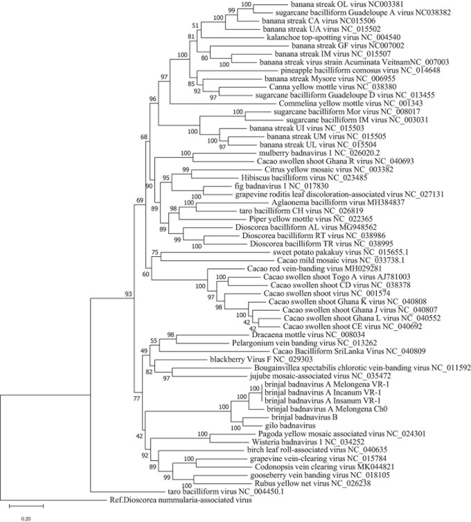 FIGURE 3