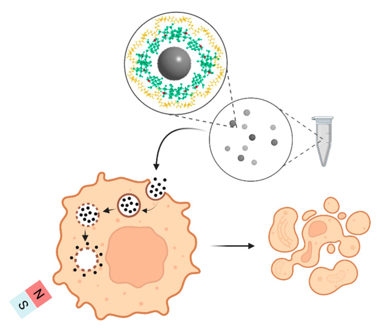 Figure 13