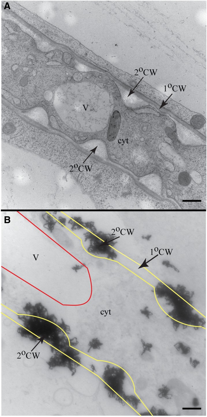 Figure 2.