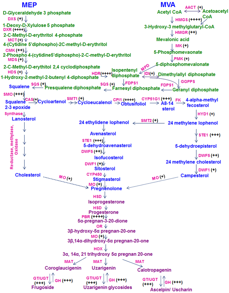 Figure 4