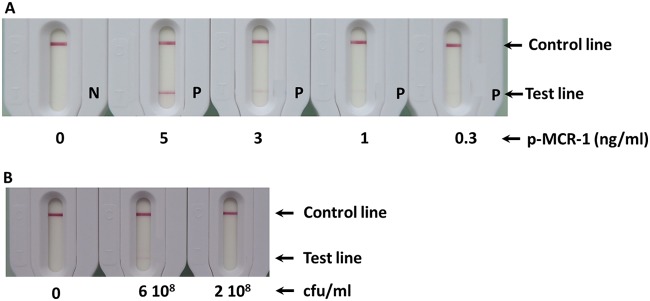 FIG 1