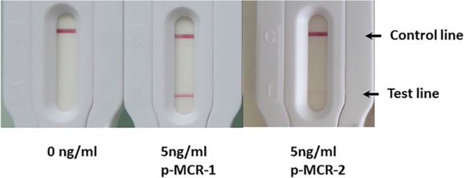 FIG 2