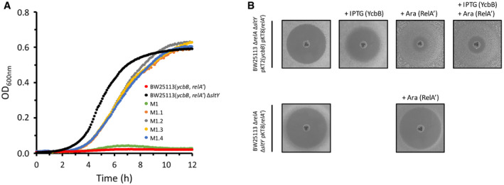 Figure 11