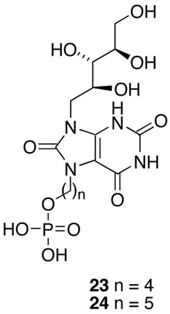 graphic file with name nihms60808f11.jpg