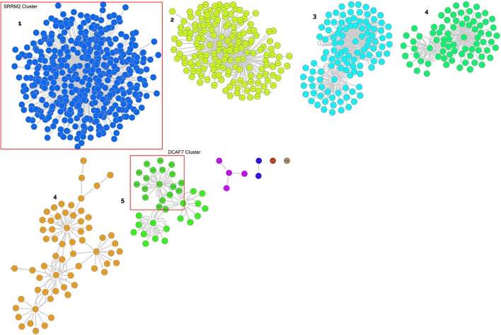 Figure 4