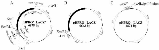 FIG. 6.