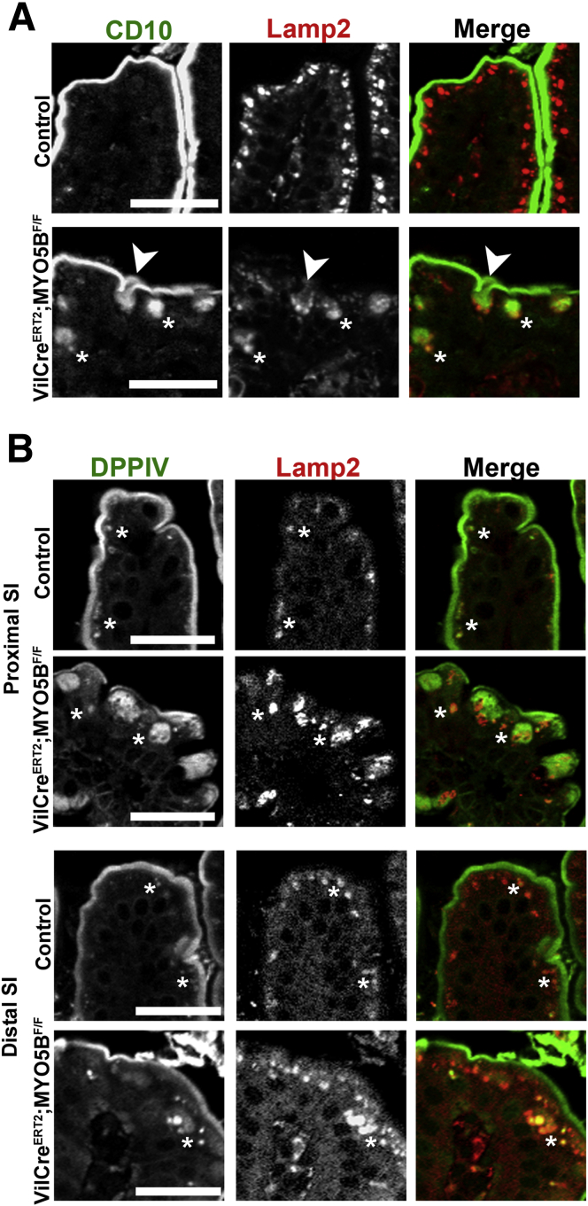 Figure 18