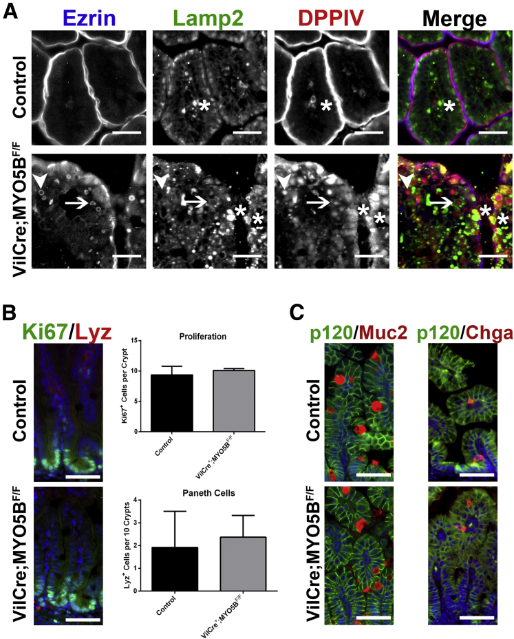 Figure 15