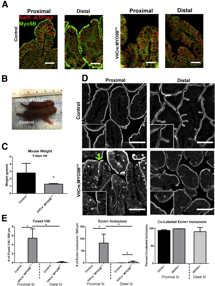 Figure 13