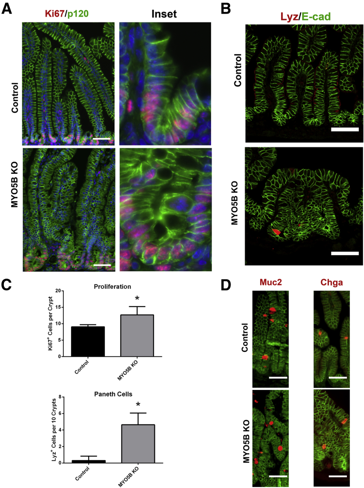 Figure 12