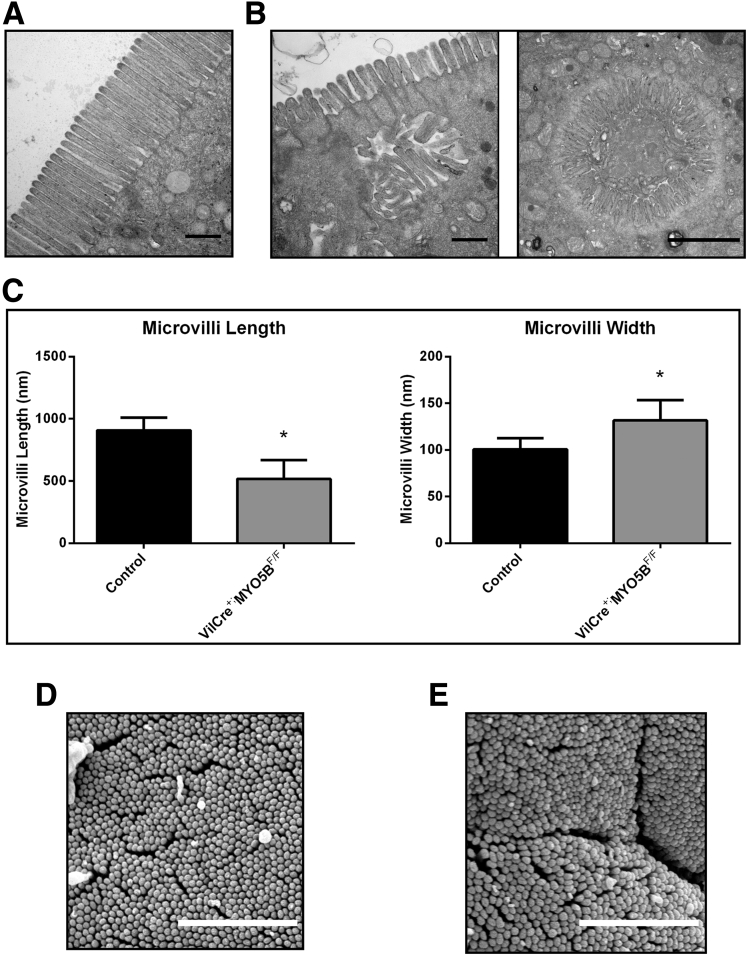 Figure 16