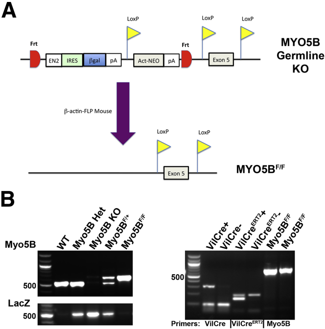 Figure 1