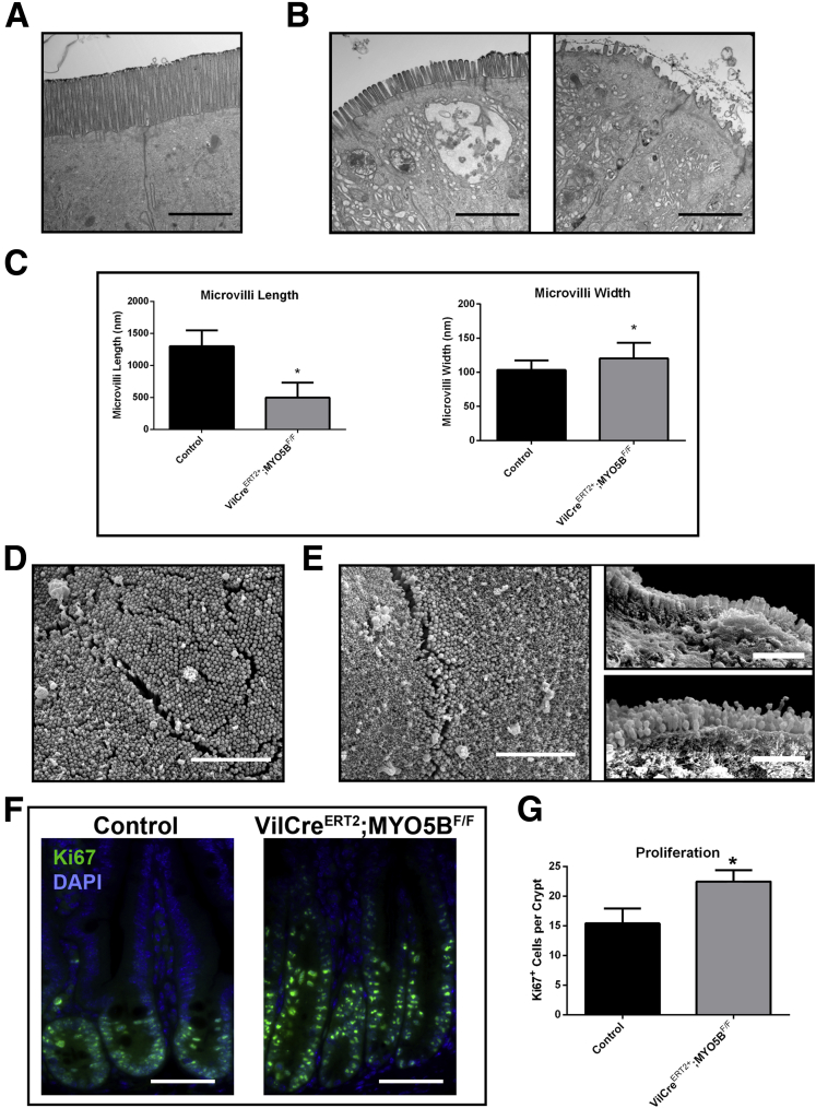 Figure 20