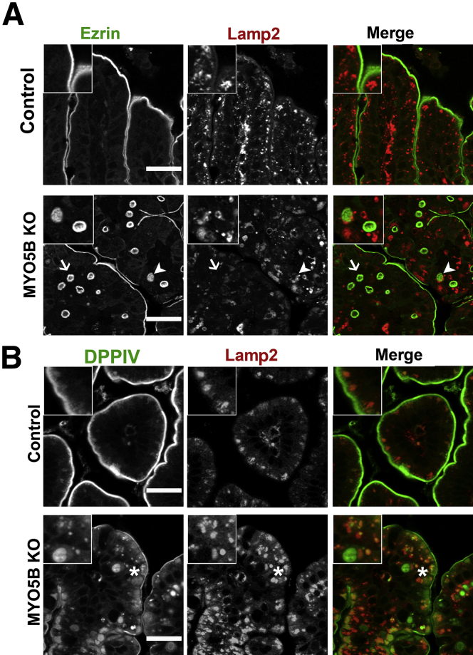 Figure 6