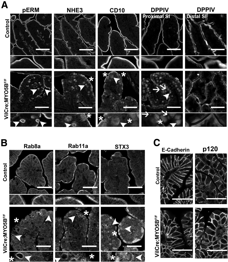 Figure 14