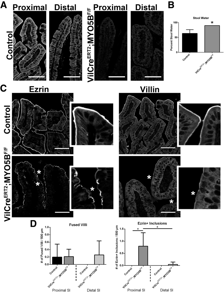 Figure 17