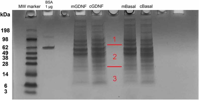 Figure 9.