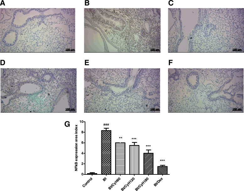 Fig. 12