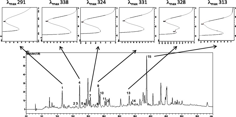 Fig. 3