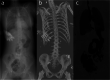 Fig. 5